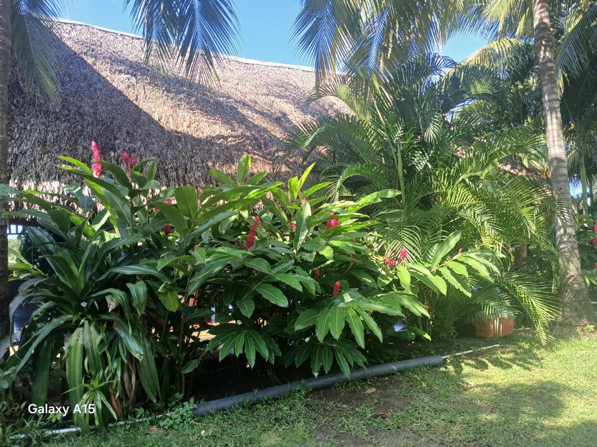 The Captains Iin Chinandega Exterior photo